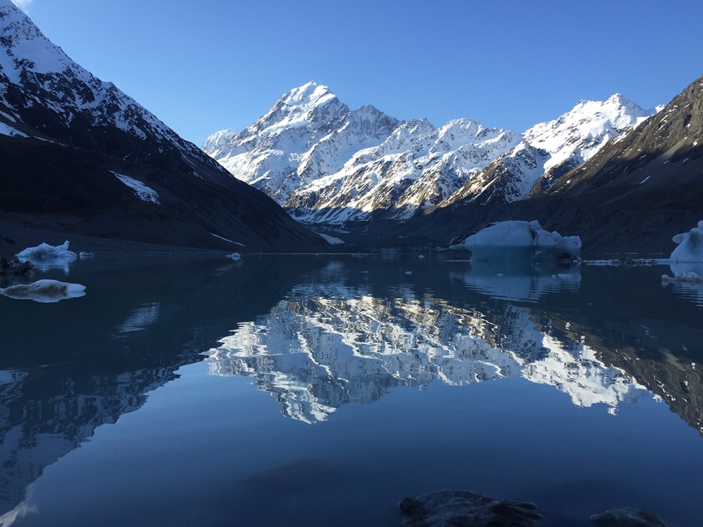 New Zealand holds many opportunities for executive job seekers - here's what you need to know.