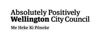 Independent Chair and Member