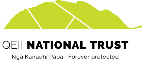 People and Safety Lead